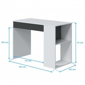 escritorio Masster cotas 8