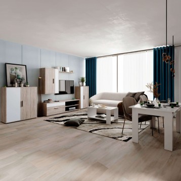 mueble TV ambiente 10