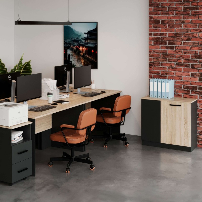 armario_auxiliar_nibis_2