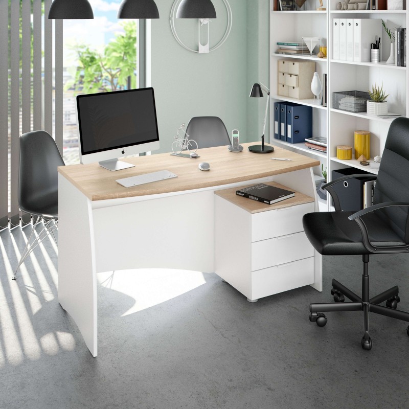 escritorio estil ambiente 12 escritorio estil ambiente 12