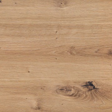 pack oficina color 8