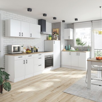 módulo_fregadero_ambiente4