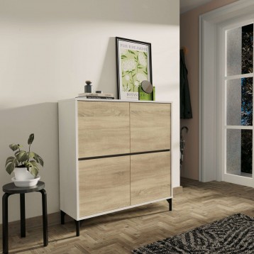 zapatero Tokio ambiente 5