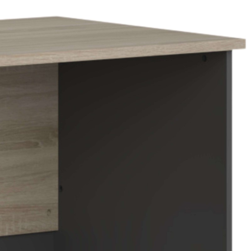 escritorio Nibis detalle 4