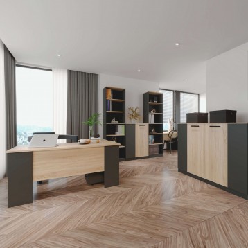 escritorio Nibis ambiente 5