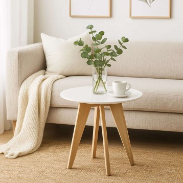 mesa centro ambiente 7