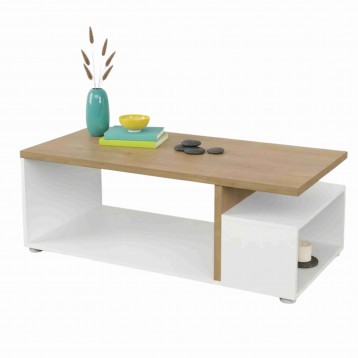 MESA_CENTRO_ACCES_portada