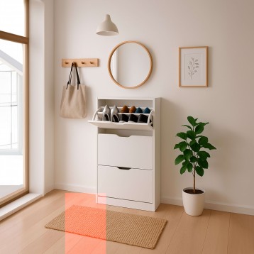 Zapatero 3C Ambiente 1