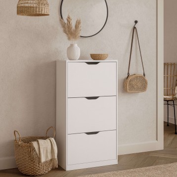 Zapatero 3C Ambiente 2