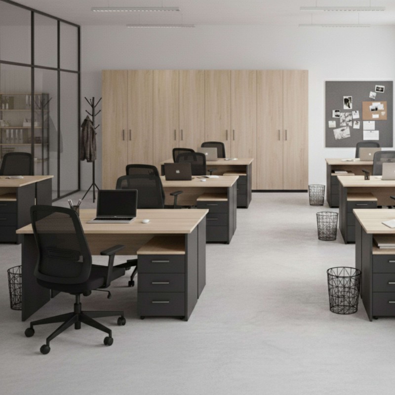 Escritorio Nibis Ambiente 2