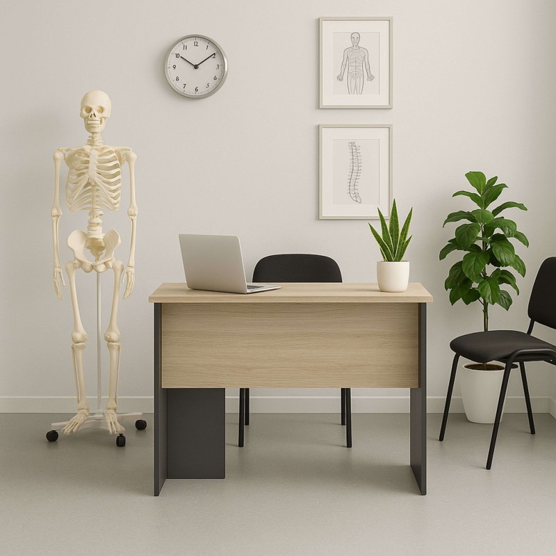 Escritorio Nibis Ambiente 3