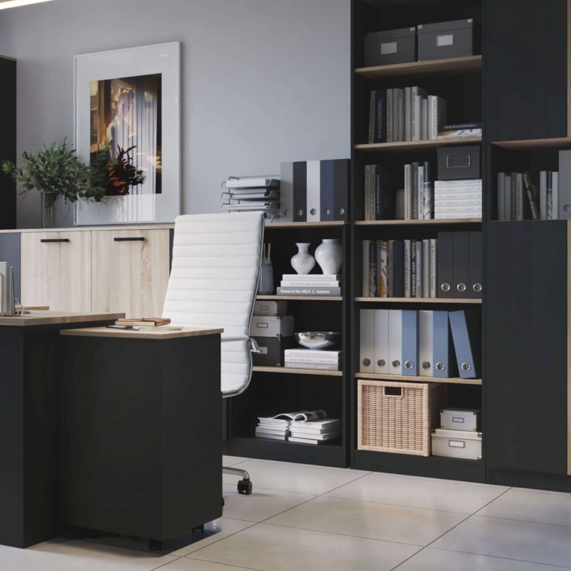 Estantería Nibis Ambiente 1 Estantería Nibis Ambiente 1