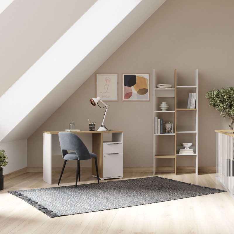 escritorio Acces ambiente 5