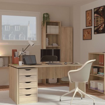 Librería Roble Gold Ambiente 3