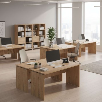 Escritorio Rivoli Ambiente 3