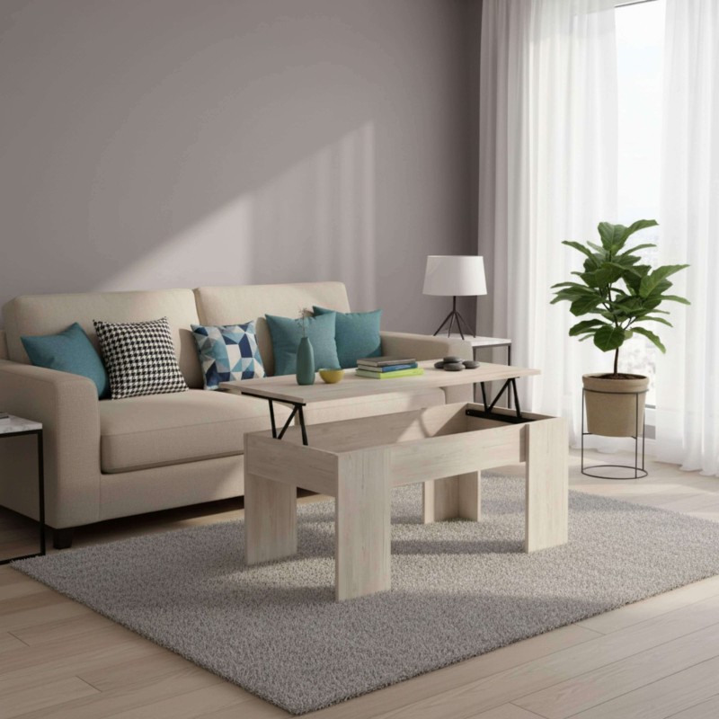 mesa centro ambiente 5