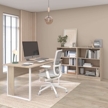 Pack de Oficina Escritorio y estanteria portada